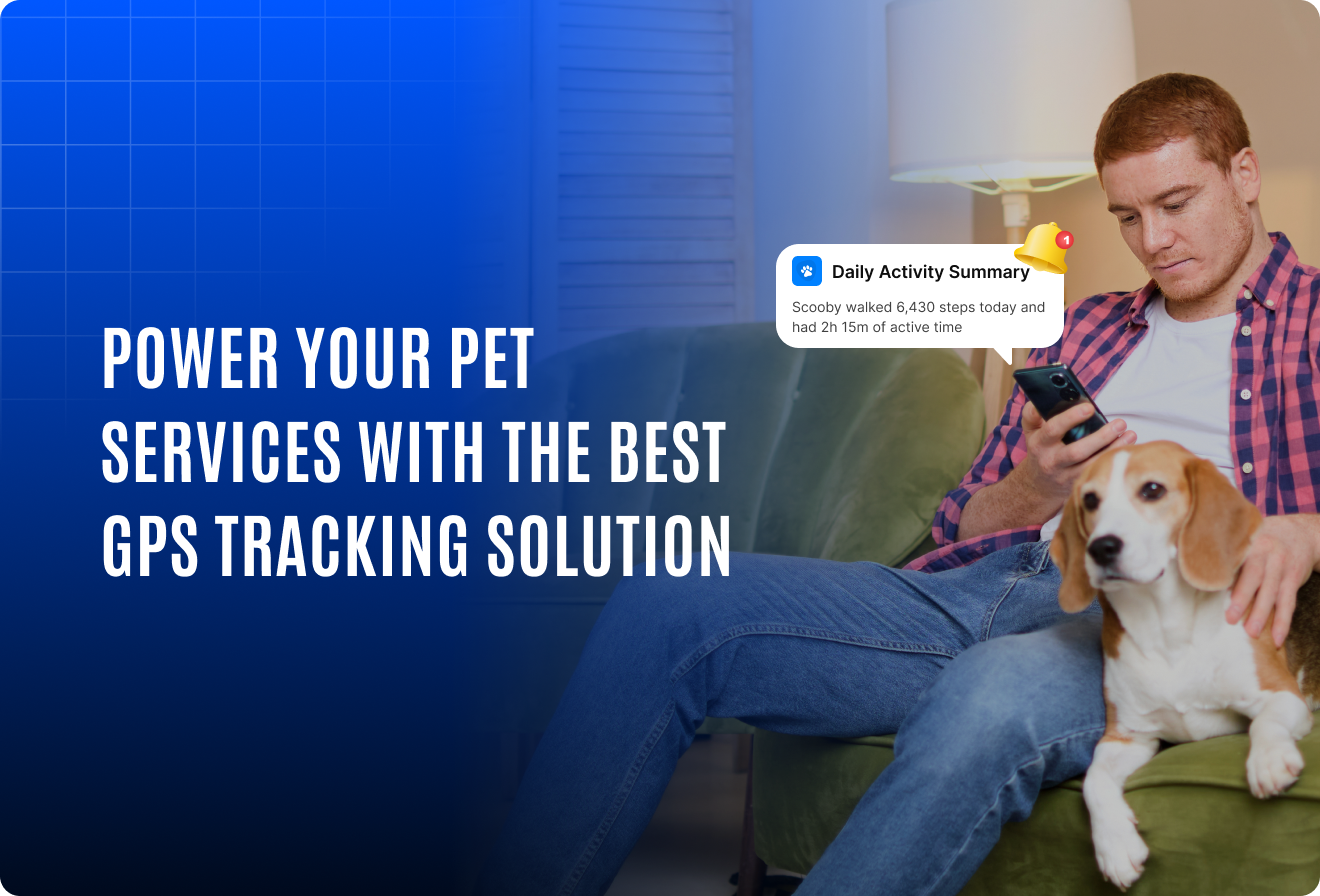 best GPS pet tracking solutions